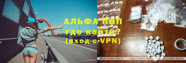 дживик Верхний Тагил
