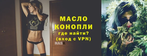 дживик Верхний Тагил