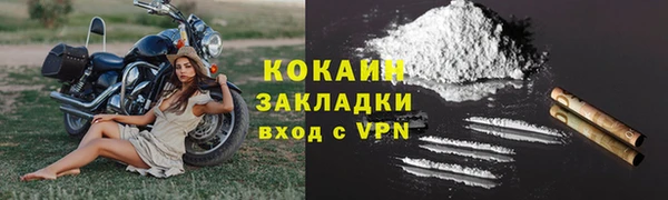 дживик Верхний Тагил