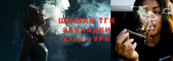 дживик Верхний Тагил