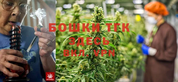 бошки Бородино