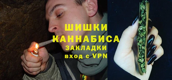 дживик Верхний Тагил