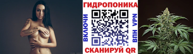 Канабис планчик  Щёлково 